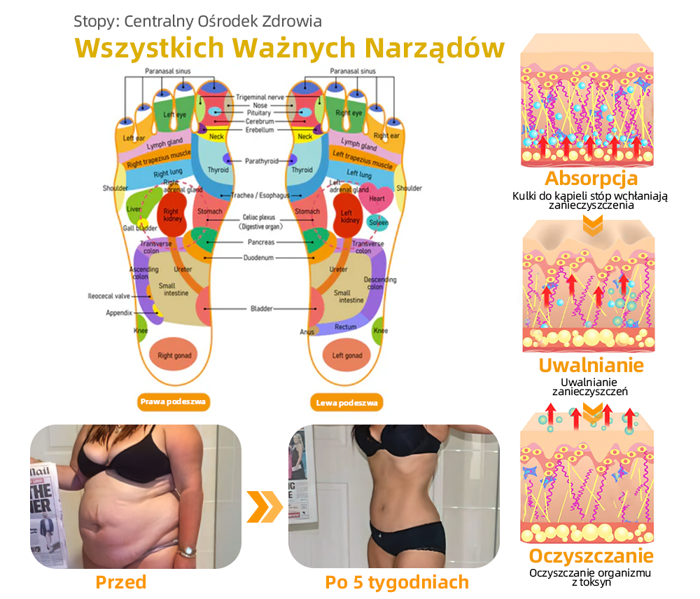 Tnnedey® Kulek do Kąpieli Stóp z jad pszczeli & 30 Ziołami do Modelowania Ciała - Polecane przez Polską Akademię Limfologiczną (PAL)✨