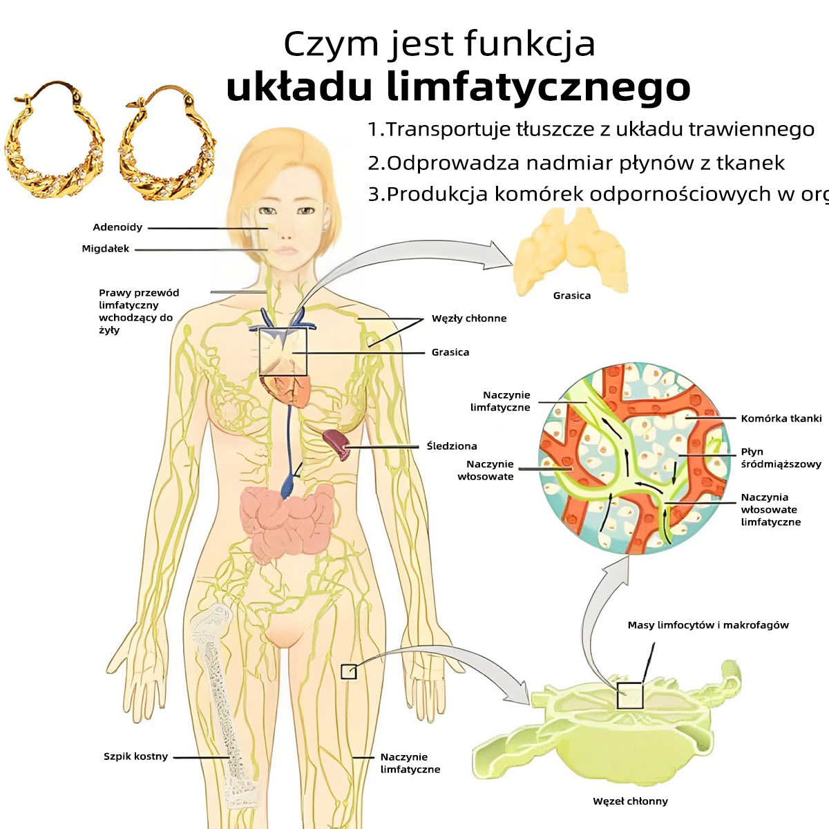 CZTICLE™ Pierścień Aktywności Limfatycznej Kolczyki 🔥 (Oferta limitowana 🎄 Specjalna promocja świąteczna)