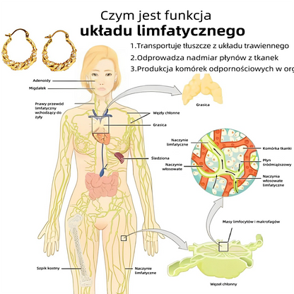 CZTICLE™ Pierścień Aktywności Limfatycznej Kolczyki 🔥 (Oferta limitowana 🎄 Specjalna promocja świąteczna)